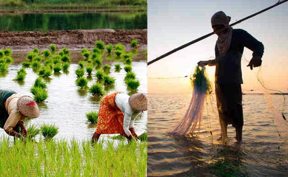 Agriculture & Fisheries